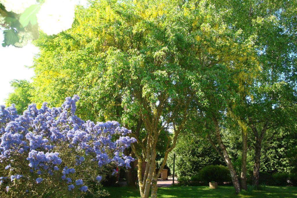 Au Jardin D'Eloise Panzió Tremereuc Kültér fotó